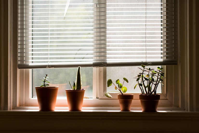 Window Blinds